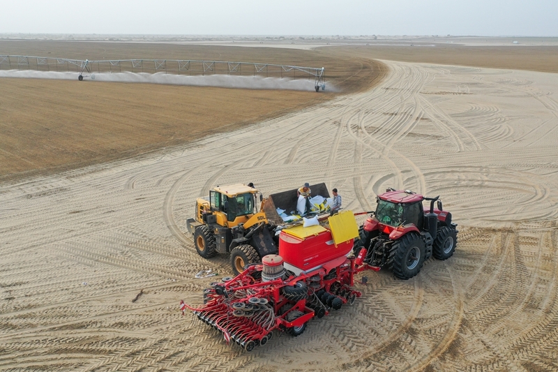 沙漠牧草 治沙护绿添新景开元棋牌app新疆和田:(图5) 沙漠牧草 治沙护绿添新景开元棋牌app新疆和田:(图5)