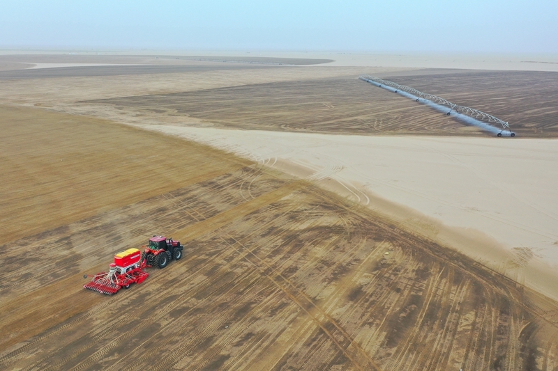 沙漠牧草 治沙护绿添新景开元棋牌app新疆和田:(图6) 沙漠牧草 治沙护绿添新景开元棋牌app新疆和田:(图6)