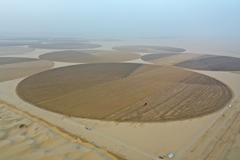 沙漠牧草 治沙护绿添新景开元棋牌app新疆和田:(图7) 沙漠牧草 治沙护绿添新景开元棋牌app新疆和田:(图7)